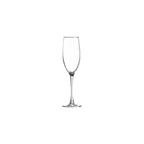 Polar Camel 8 oz. Champagne Flute