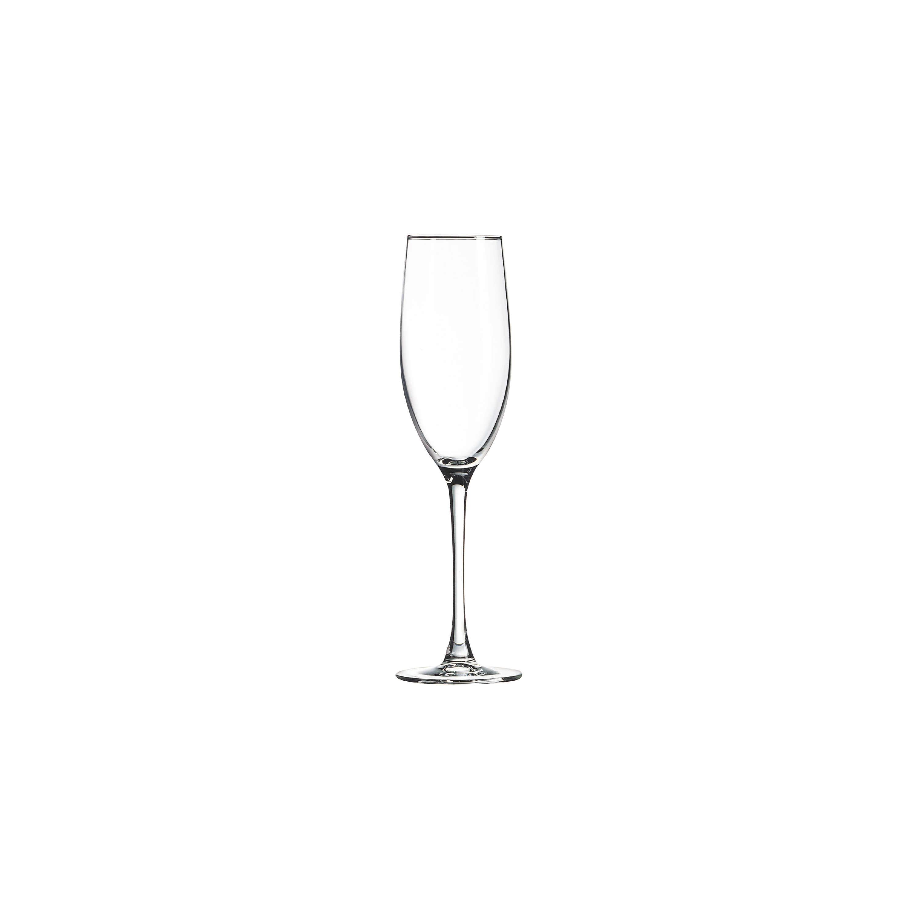 Polar Camel 8 oz. Champagne Flute