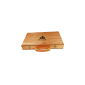 Backgammon Game
