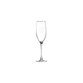 Polar Camel 8 oz. Champagne Flute